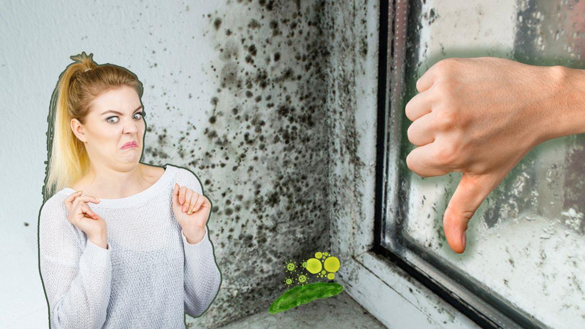 Cómo eliminar el moho de las juntas del baño en pocos pasos