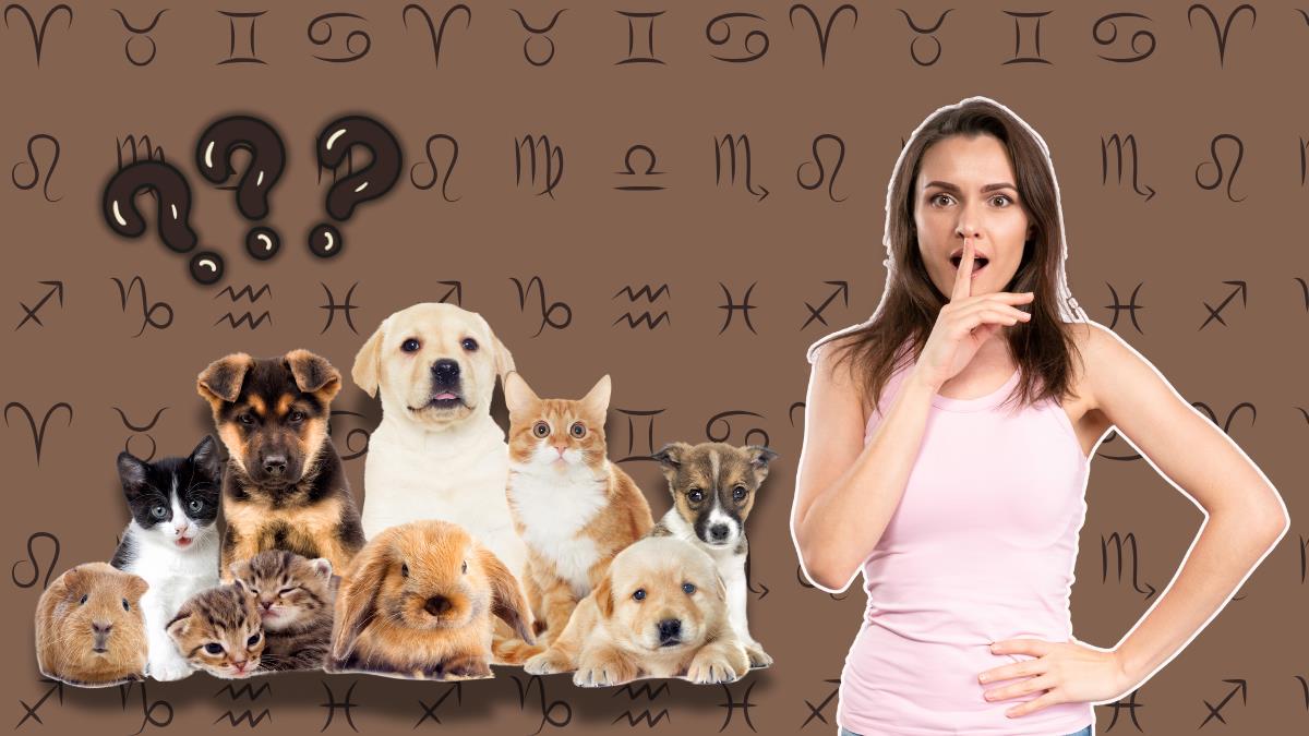 Así se relacionan las personas con sus animales, según su signo del zodíaco