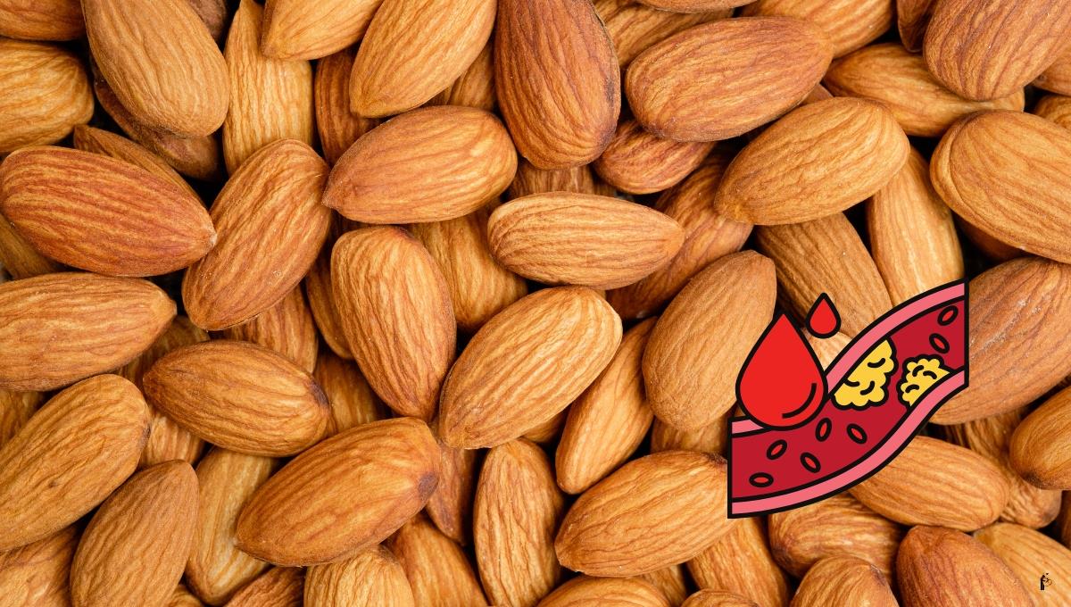 Cuántas almendras debes comer al día para bajar el colesterol, según un nutricionista