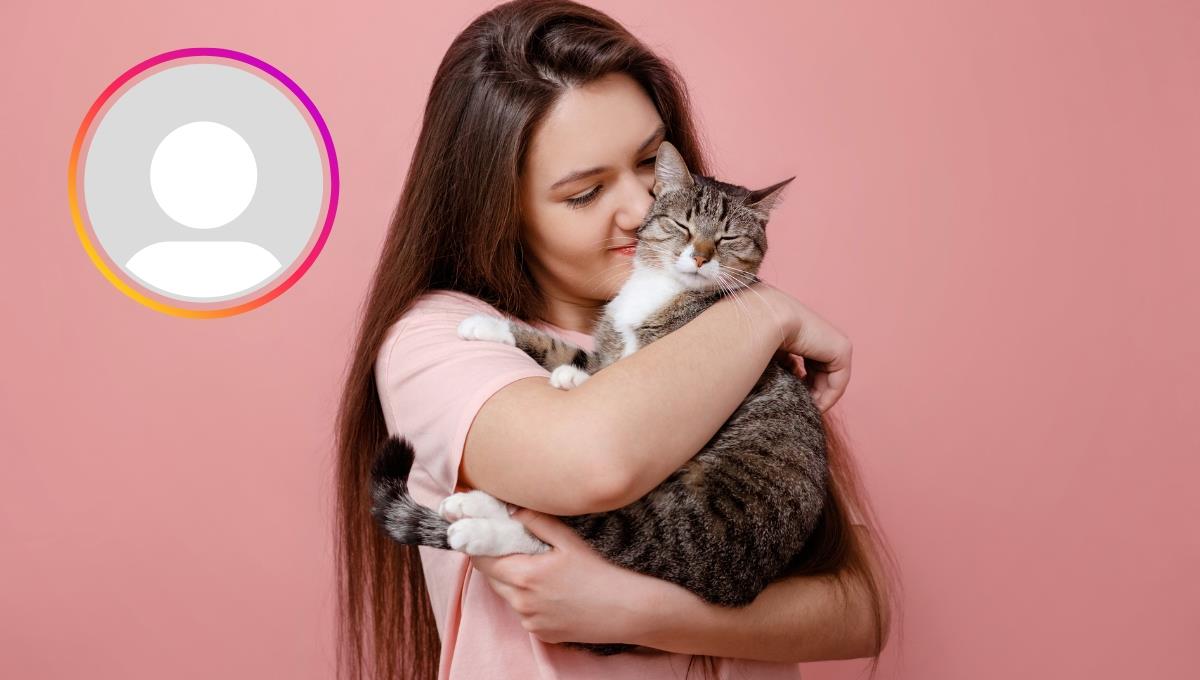 El profundo significado que tiene que un gato aparezca en una foto de perfil de su dueño