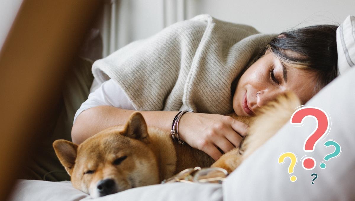 Mantén el aire antes de descubrir la verdad sobre dormir con tu mascota