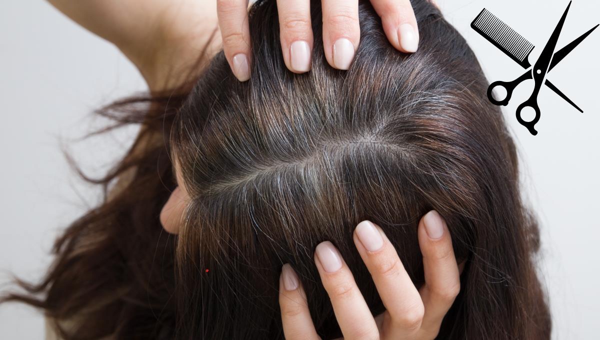 Canas: el corte ideal para disimularlas y no tener que recurrir a tintes