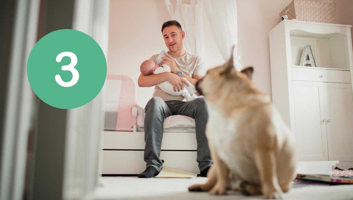 Las 3 razas de perros que son las más celosas con sus dueños