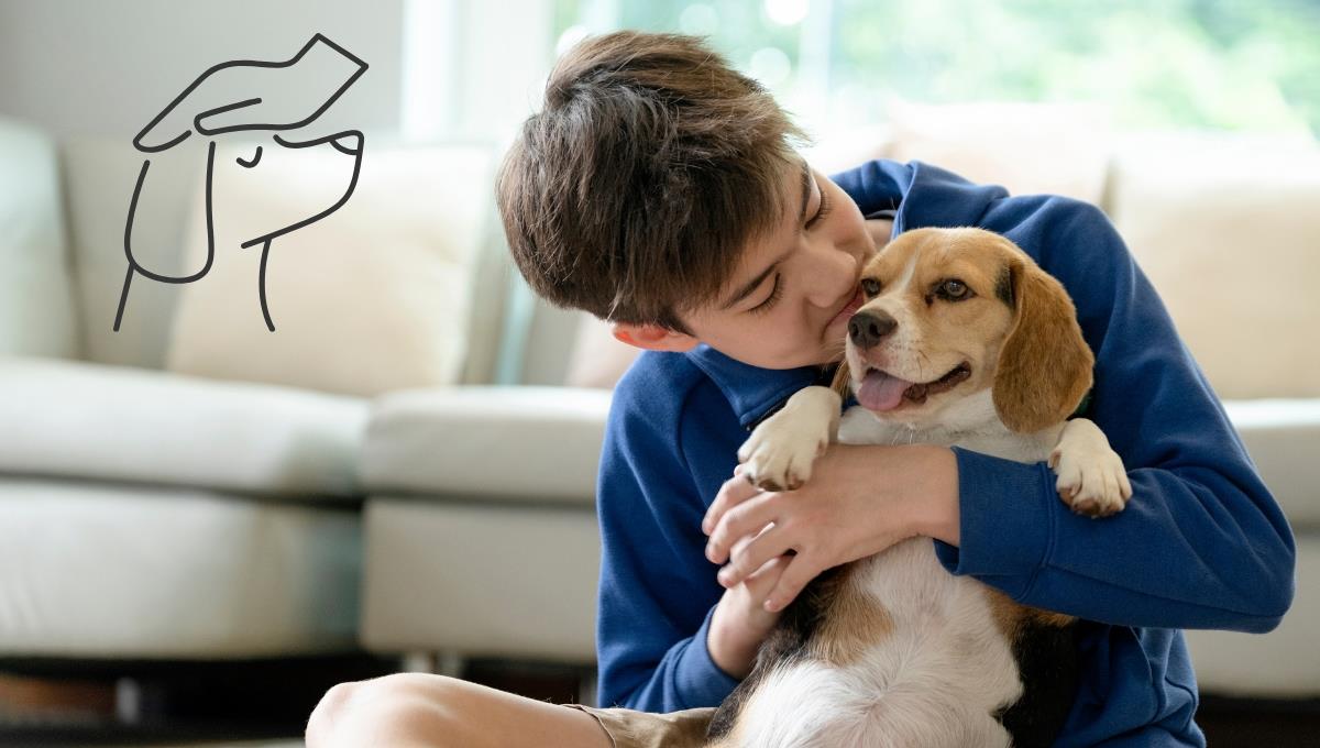 El simple truco que debes hacer con tu perro para que no destroce todo cuando te vas de casa