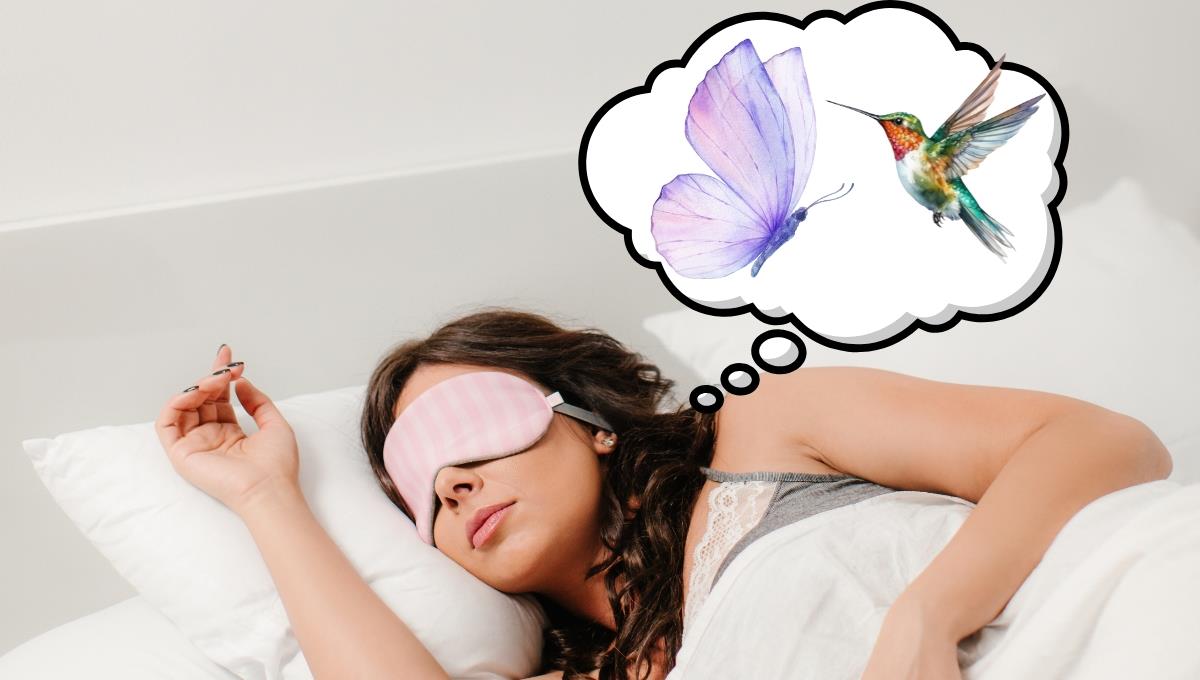 Qué quiere decir que sueñes con una mariposa y un colibrí, según la psicología