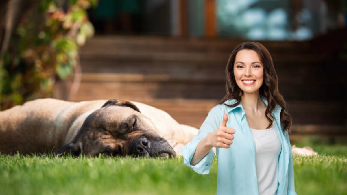 Ni en la cama ni en el jardín: este es el mejor lugar para que duerma un perro